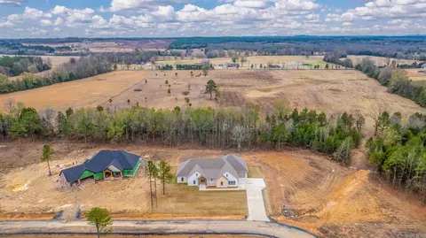 38 Ules Watson Dr, Greenbrier, AR 72058 photo 49