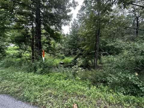 lot48 Cobalt Bay Dr, Shirley, AR 72153