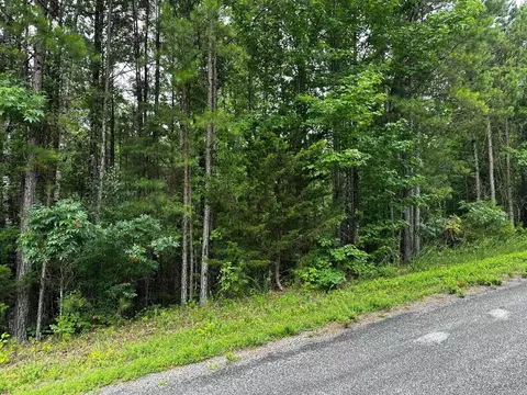 lot107 Cobalt Bay Dr, Shirley, AR 72153