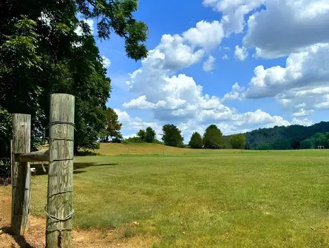 1 Griffin Road, Hardy, AR 72542