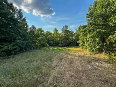 000 Duncan Ln, Poughkeepsie, AR 72569 photo 11