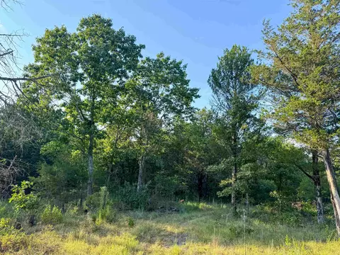 000 Duncan Ln, Poughkeepsie, AR 72569 photo 18