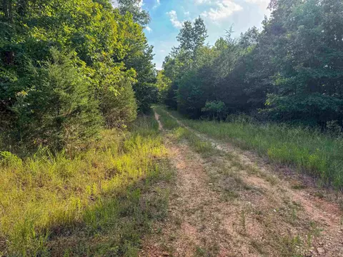 000 Duncan Ln, Poughkeepsie, AR 72569 photo 13