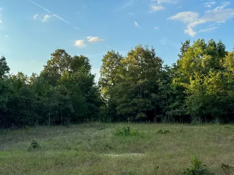 000 Duncan Ln, Poughkeepsie, AR 72569 photo 22