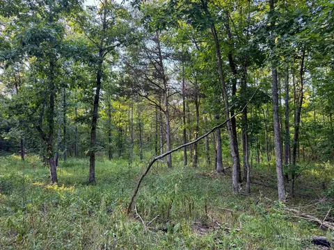 000 Duncan Ln, Poughkeepsie, AR 72569 photo 6