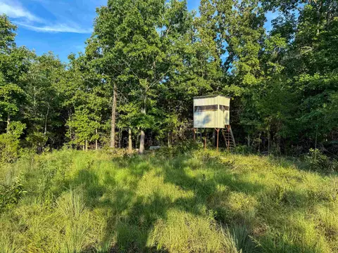 000 Duncan Ln, Poughkeepsie, AR 72569 photo 4
