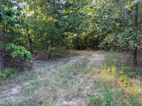 000 Duncan Ln, Poughkeepsie, AR 72569 photo 17