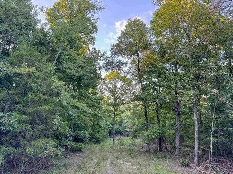 000 Duncan Ln, Poughkeepsie, AR 72569 photo 19