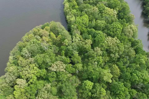 1 East Bay Road, Atkins, AR 72823 photo 12