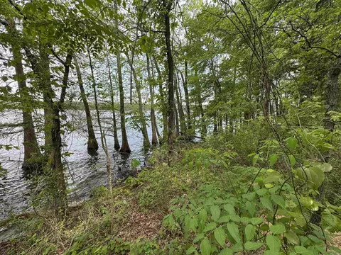 1 East Bay Road, Atkins, AR 72823 photo 29