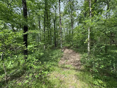 1 East Bay Road, Atkins, AR 72823 photo 41