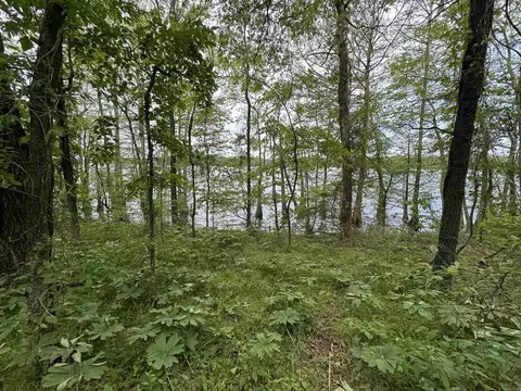 1 East Bay Road, Atkins, AR 72823 photo 28