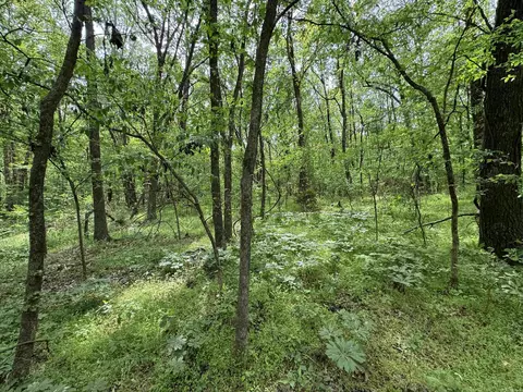 1 East Bay Road, Atkins, AR 72823 photo 44
