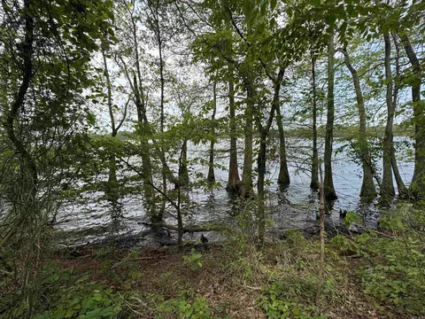 1 East Bay Road, Atkins, AR 72823 photo 31