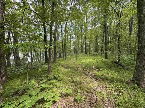 1 East Bay Road, Atkins, AR 72823 photo 22