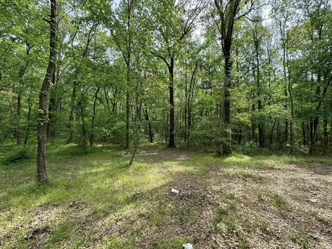 1 East Bay Road, Atkins, AR 72823 photo 46