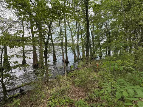 1 East Bay Road, Atkins, AR 72823 photo 30