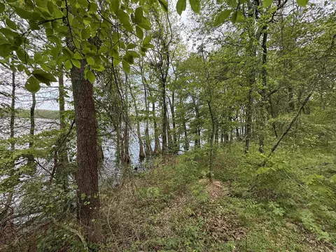 1 East Bay Road, Atkins, AR 72823 photo 32