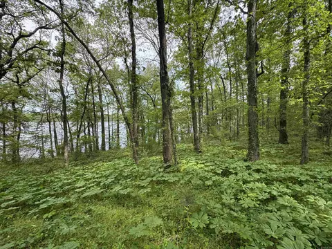 1 East Bay Road, Atkins, AR 72823 photo 35