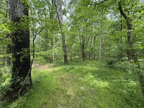 1 East Bay Road, Atkins, AR 72823 photo 43