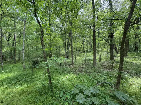 1 East Bay Road, Atkins, AR 72823 photo 42