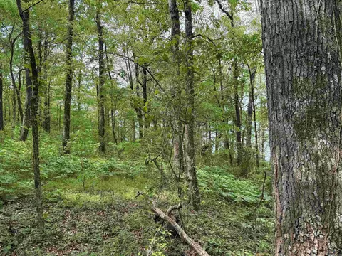 1 East Bay Road, Atkins, AR 72823 photo 38