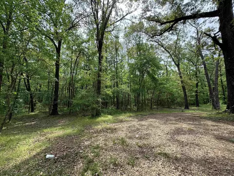 1 East Bay Road, Atkins, AR 72823 photo 47