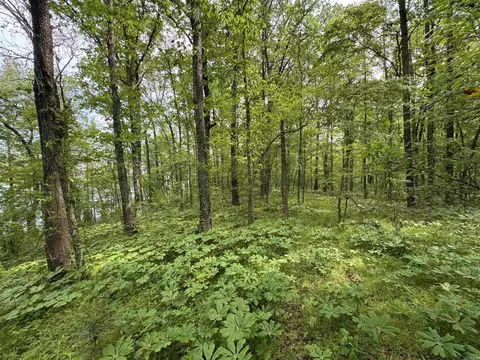1 East Bay Road, Atkins, AR 72823 photo 36