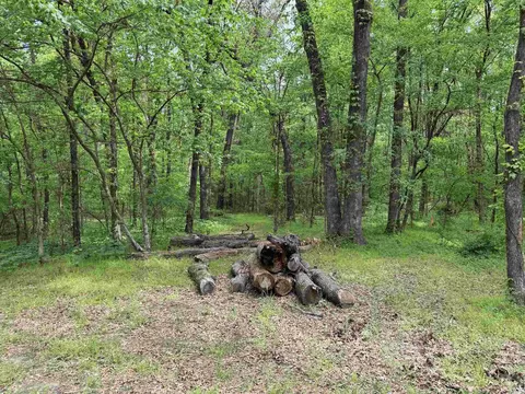 1 East Bay Road, Atkins, AR 72823 photo 18