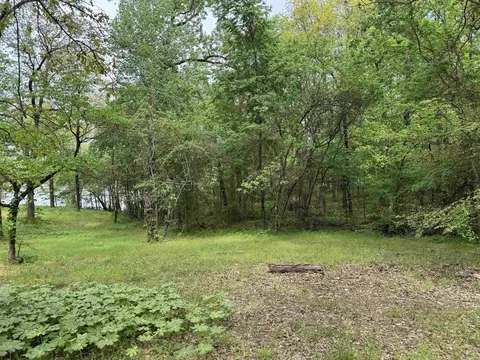 1 East Bay Road, Atkins, AR 72823 photo 16