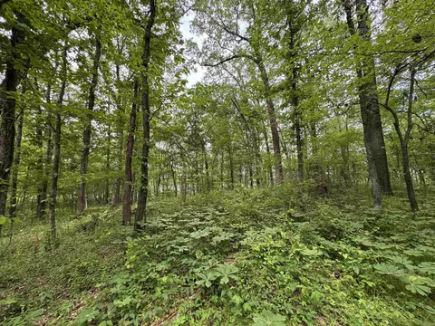 1 East Bay Road, Atkins, AR 72823 photo 21