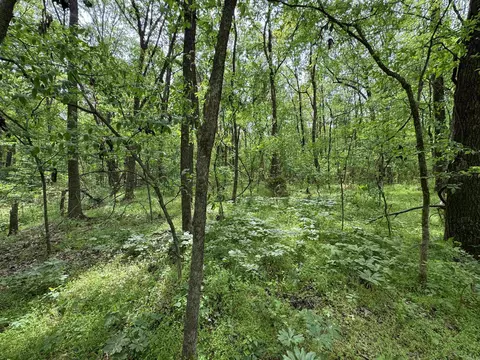 1 East Bay Road, Atkins, AR 72823 photo 45