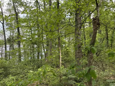 1 East Bay Road, Atkins, AR 72823 photo 39