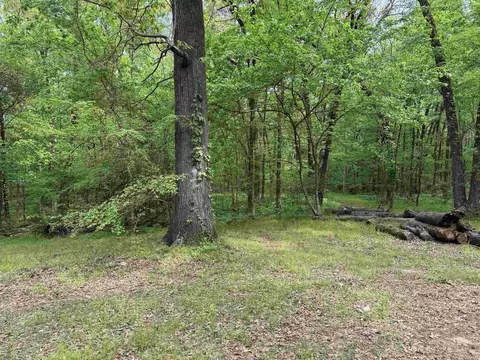 1 East Bay Road, Atkins, AR 72823 photo 17