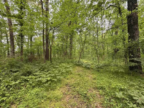 1 East Bay Road, Atkins, AR 72823 photo 20