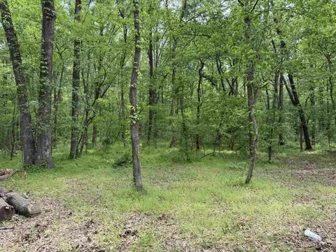 1 East Bay Road, Atkins, AR 72823 photo 19