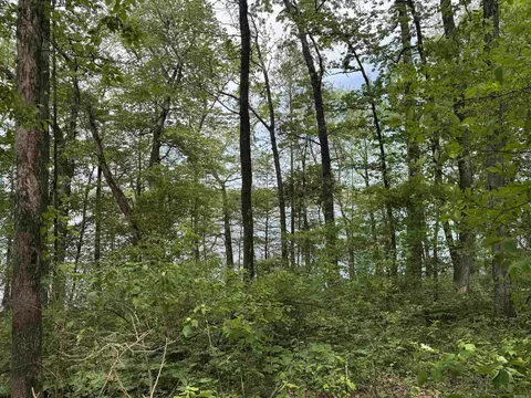 1 East Bay Road, Atkins, AR 72823 photo 37