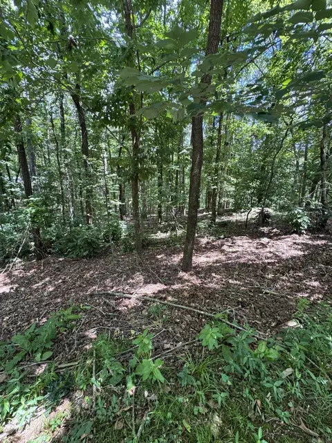 49 La Granja Cir, Hot Springs Village, AR 71909
