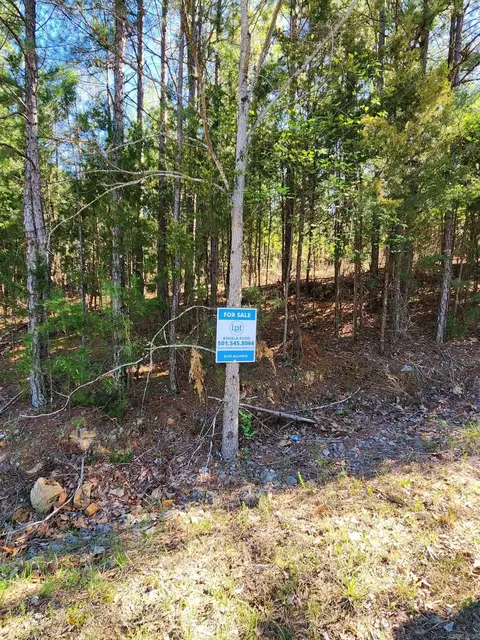 Arapaho Dr, Jordan, AR 72519 photo 6