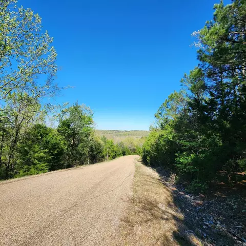Arapaho Dr, Jordan, AR 72519 photo 3