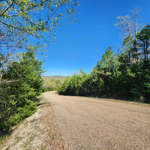 Arapaho Dr, Jordan, AR 72519 photo 4