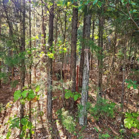 Arapaho Dr, Jordan, AR 72519 photo 5