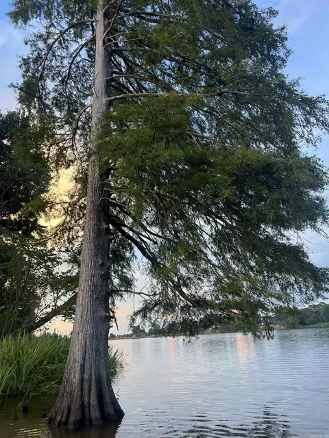 lot5 Craig Rd, Scott, AR 72142 photo 6