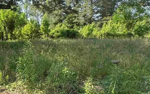 3775 Hwy 234, Foreman, AR 71836 photo 1
