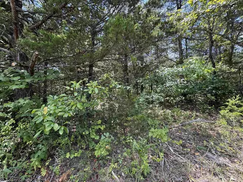309 W Fairway Dr, Horseshoe Bend, AR 72512