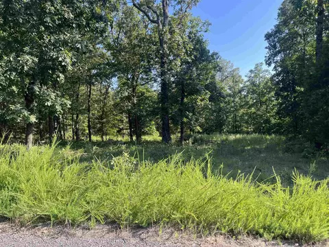 11 Talon Ln, Edgemont, AR 72044 photo 10