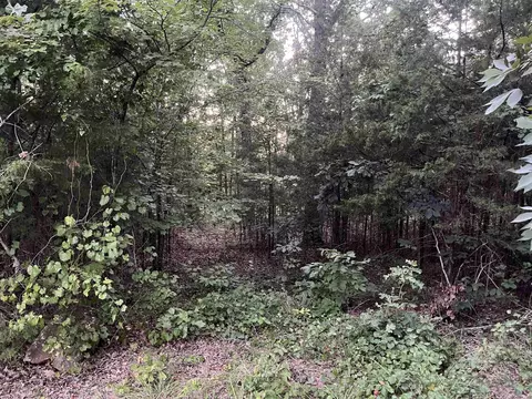 11 Talon Ln, Edgemont, AR 72044 photo 5