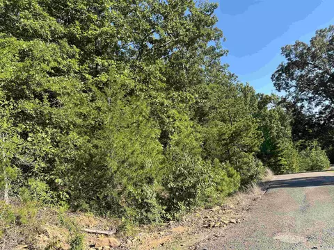 11 Talon Ln, Edgemont, AR 72044 photo 6