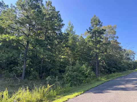 11 Talon Ln, Edgemont, AR 72044 photo 4