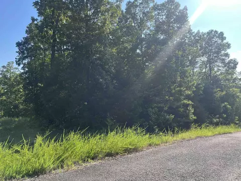 11 Talon Ln, Edgemont, AR 72044 photo 9